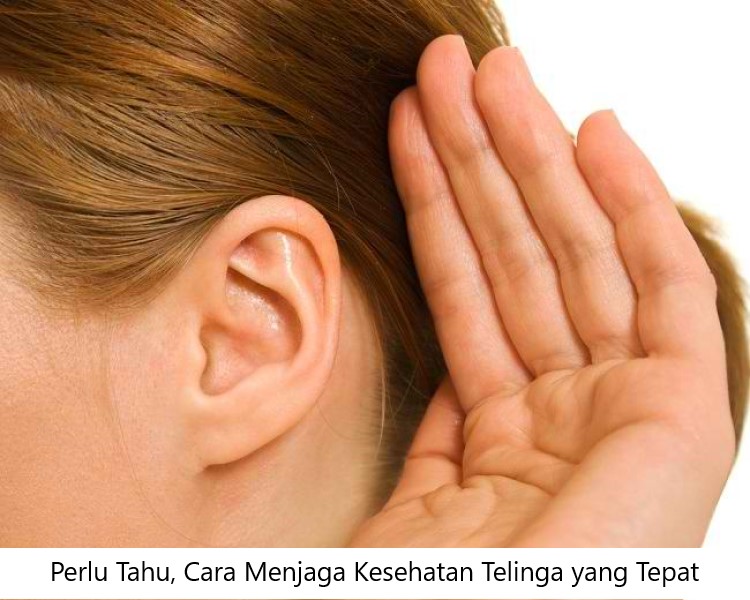 Cara Menjaga Kesehatan Telinga