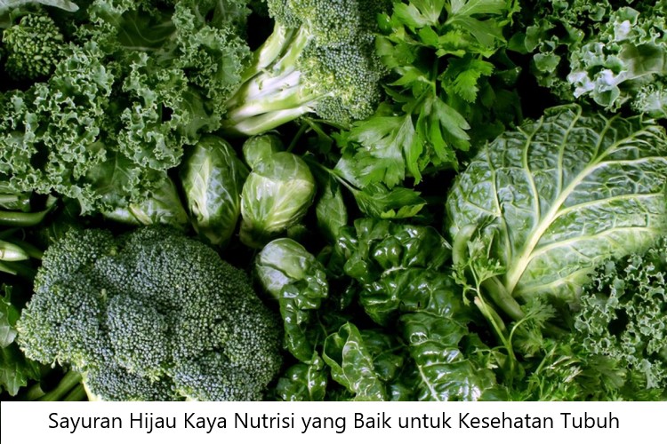 Sayuran Hijau Kaya Nutrisi